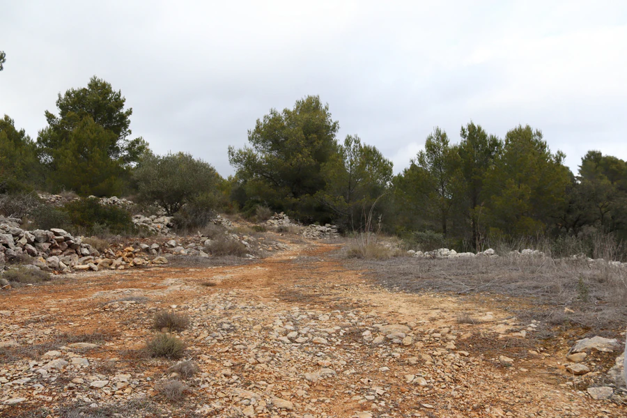 PPT196646 - Parcela en venta en Jalón
