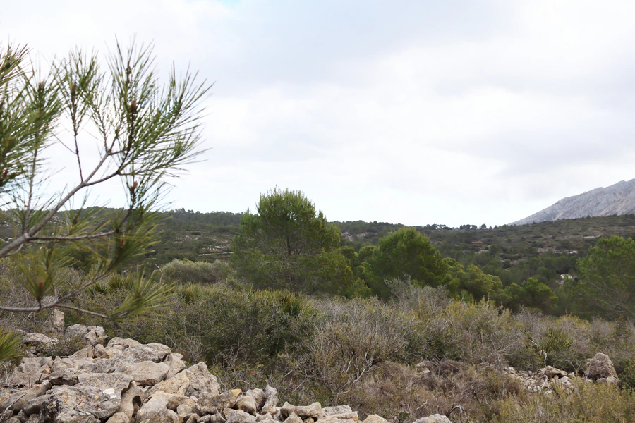 PPT196646 - Parcela en venta en Jalón