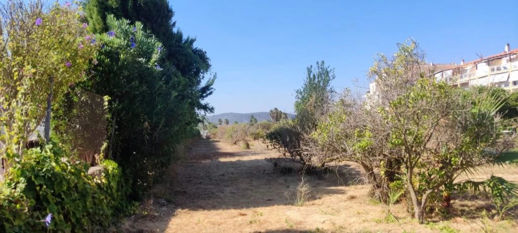 PL1 - Parcela de Terreno en venta en Denia