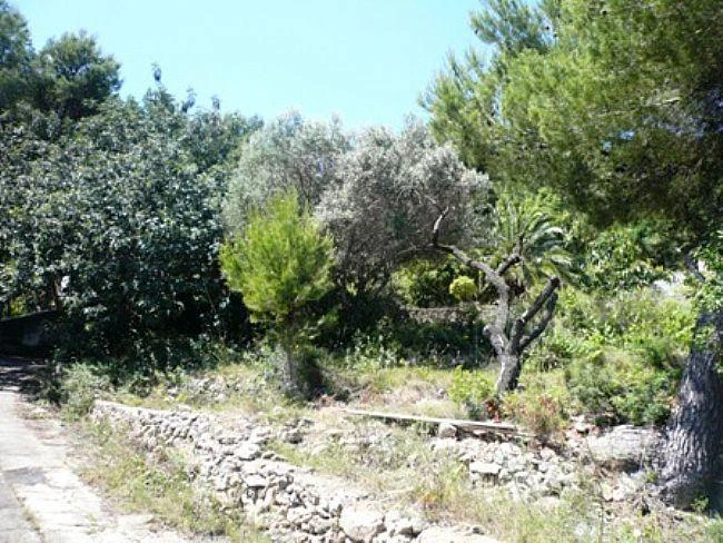 PL05 - Parcelas / Terrenos en venta en DENIA