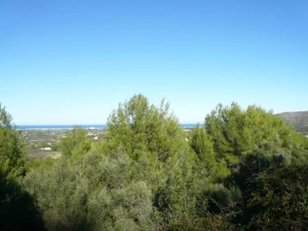 PL09 - Parcelas / Terrenos en venta en Pedreguer