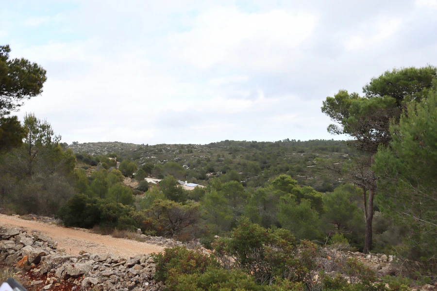 PPT196646 - Parcela en venta en Jalón