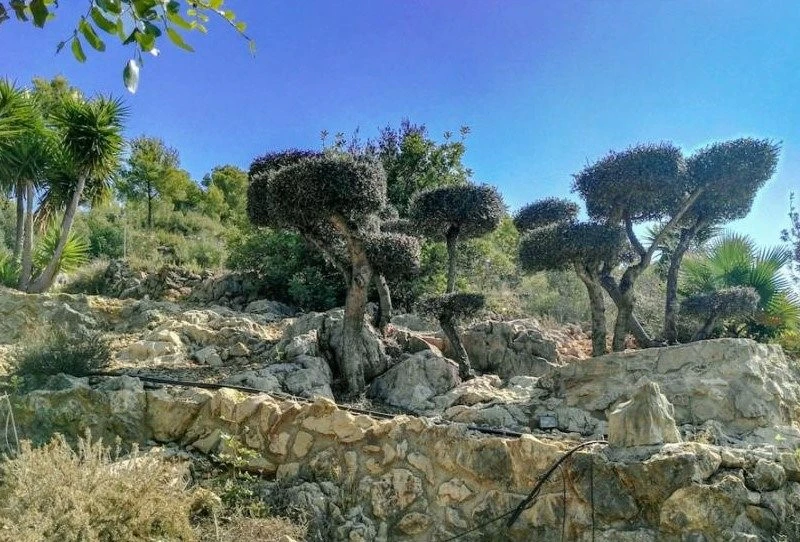 VP07 - Finca Rustica en venta con parcela amplia