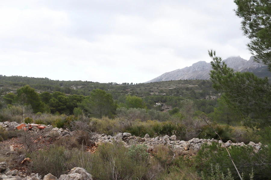 PPT196646 - Parcela en venta en Jalón
