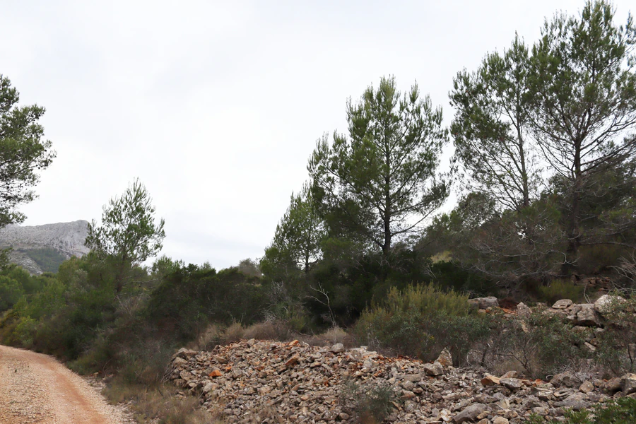 PPT196646 - Parcela en venta en Jalón