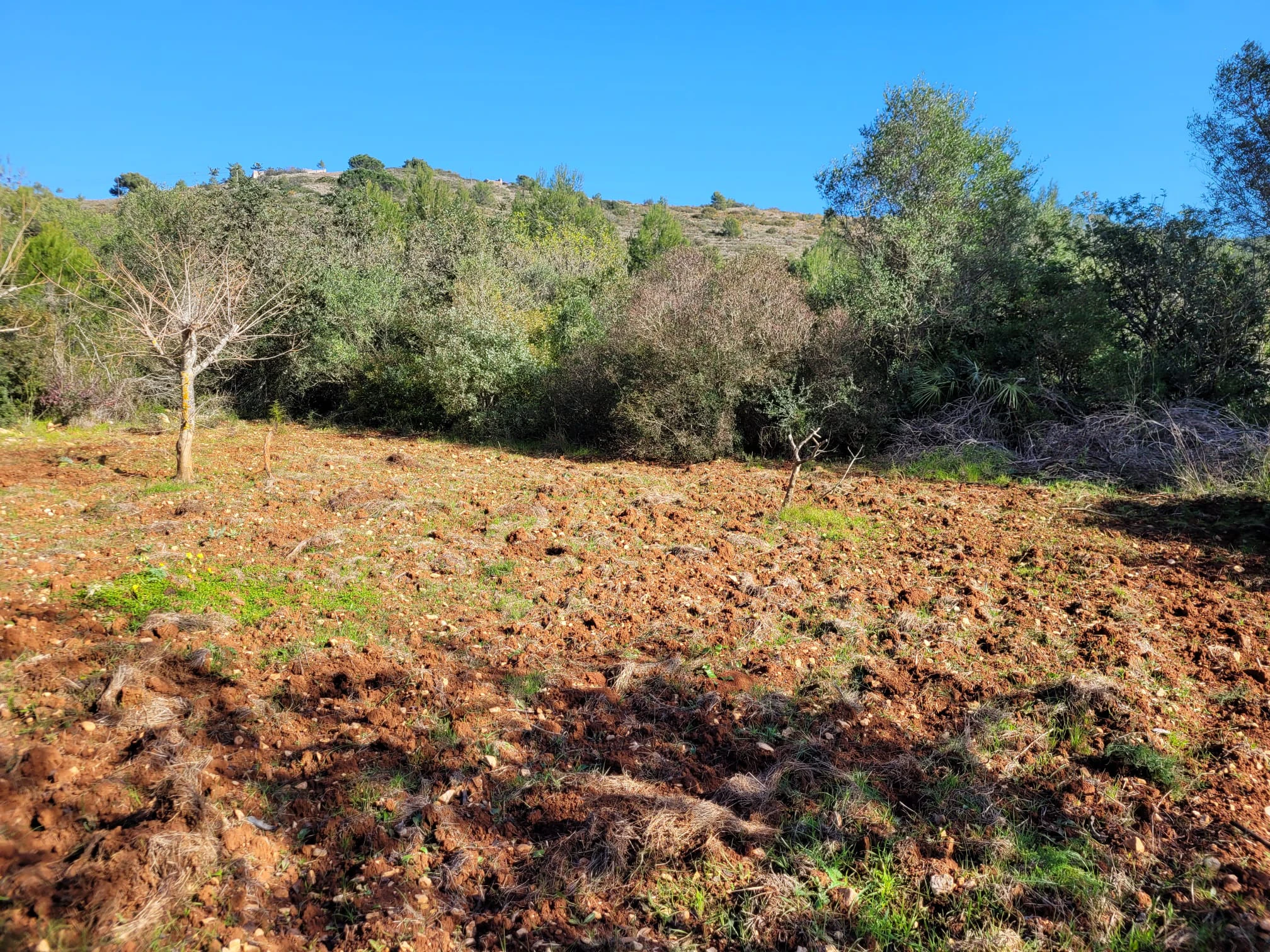 K-BR22531 - Se vende Parcela soleada en Denia