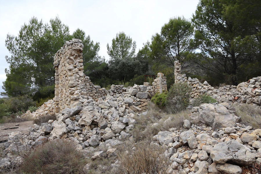 PPT196646 - Parcela en venta en Jalón