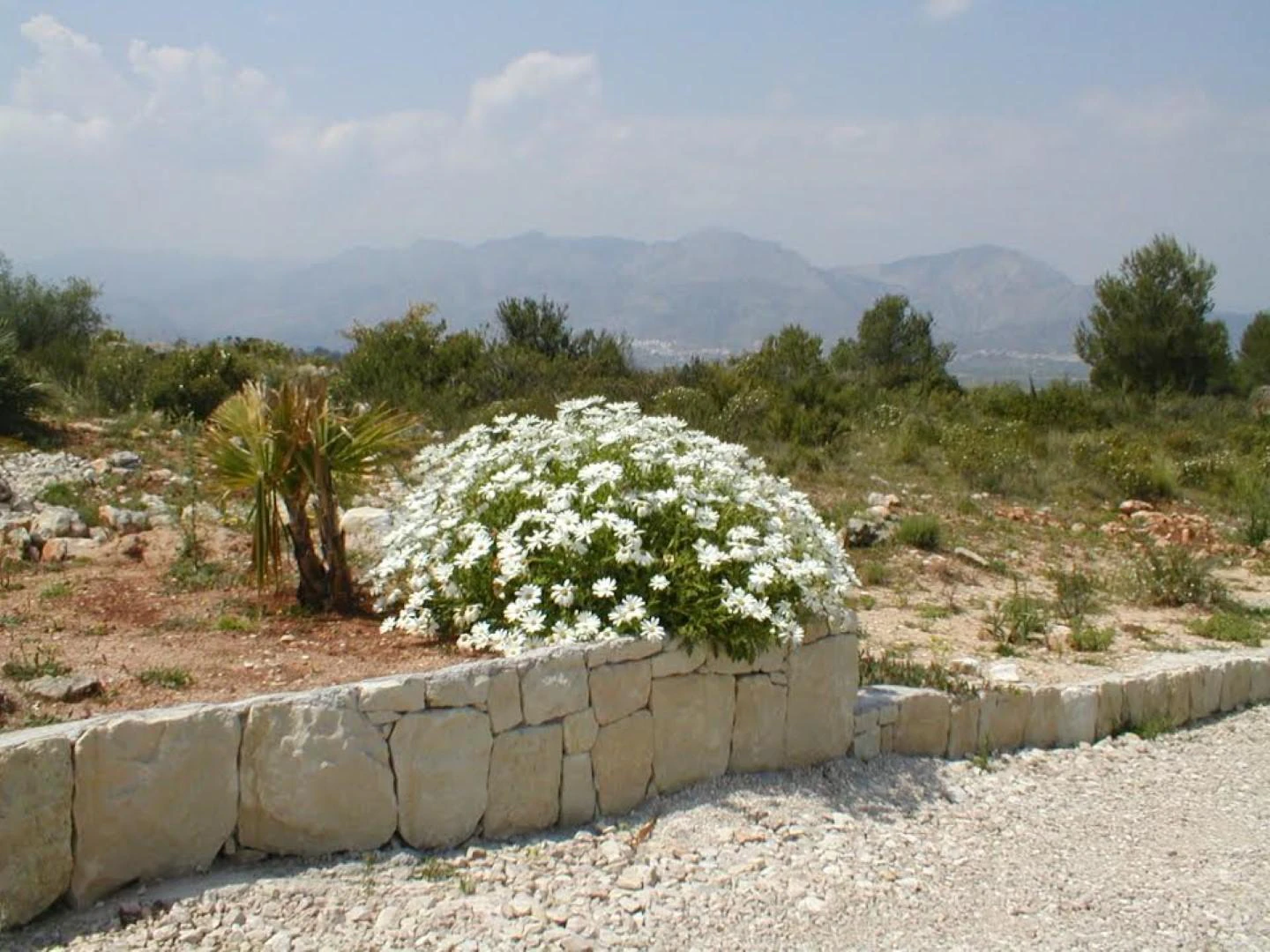 PL20 - Parcelas / Terrenos en venta en Benidoleig