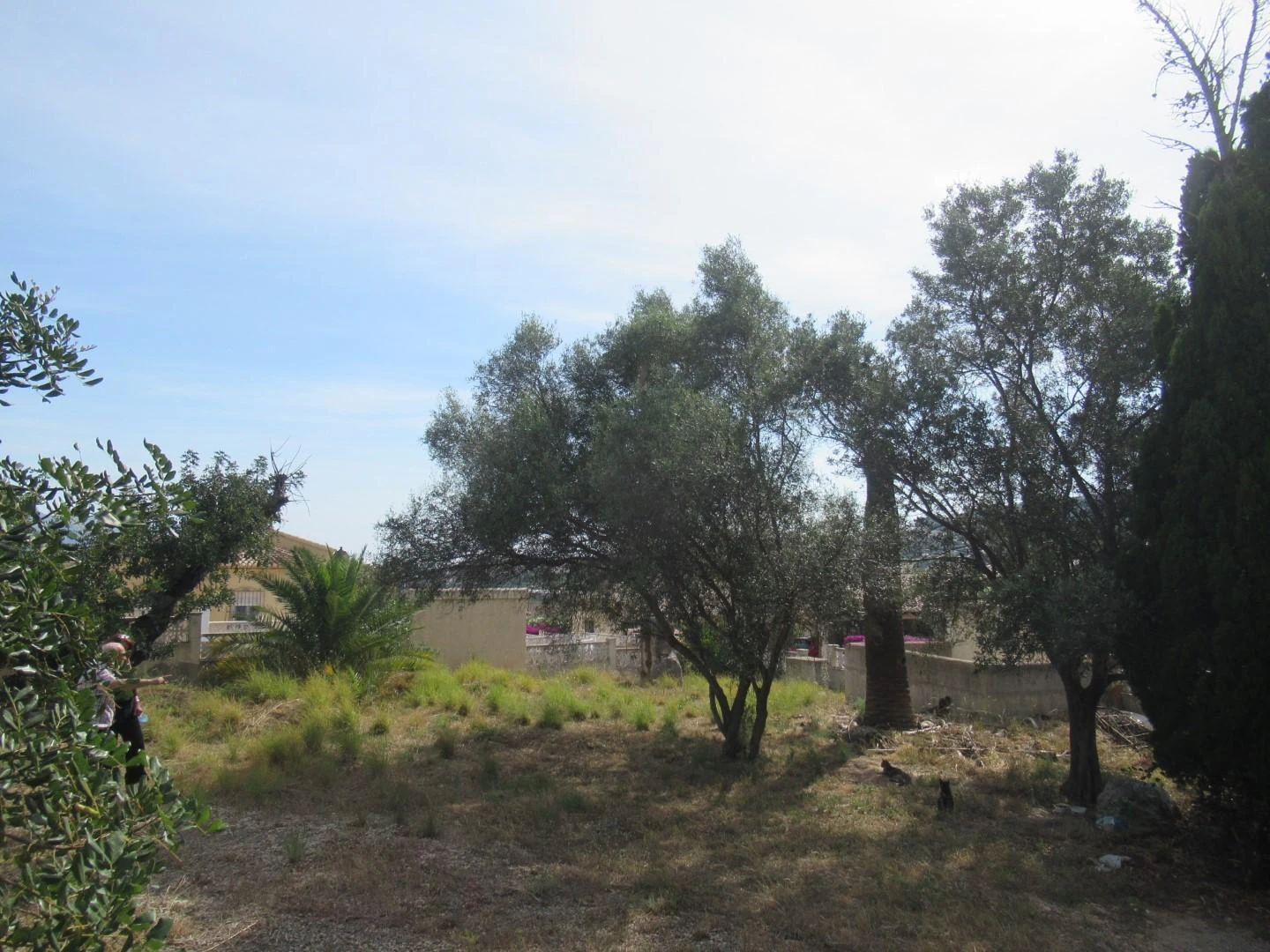 PL21 - Parcelas / Terrenos en venta en Orba