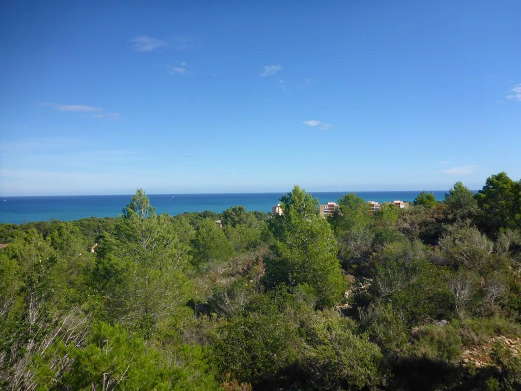 PL19 - Parcela en venta en Denia, Alicante España