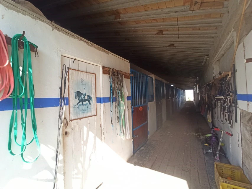 PL18 - Parcela soleada de 14.531 m2 en Ondara