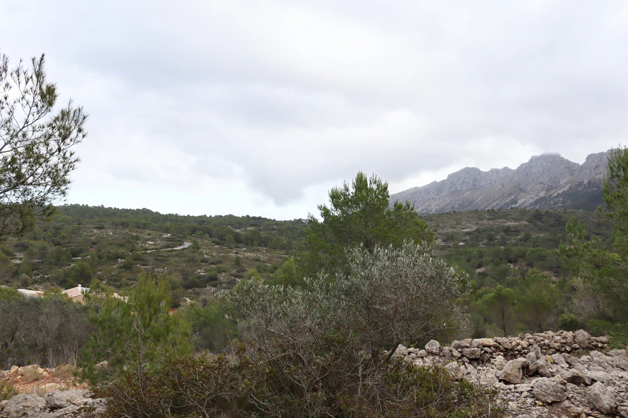 PPT196646 - Parcela en venta en Jalón