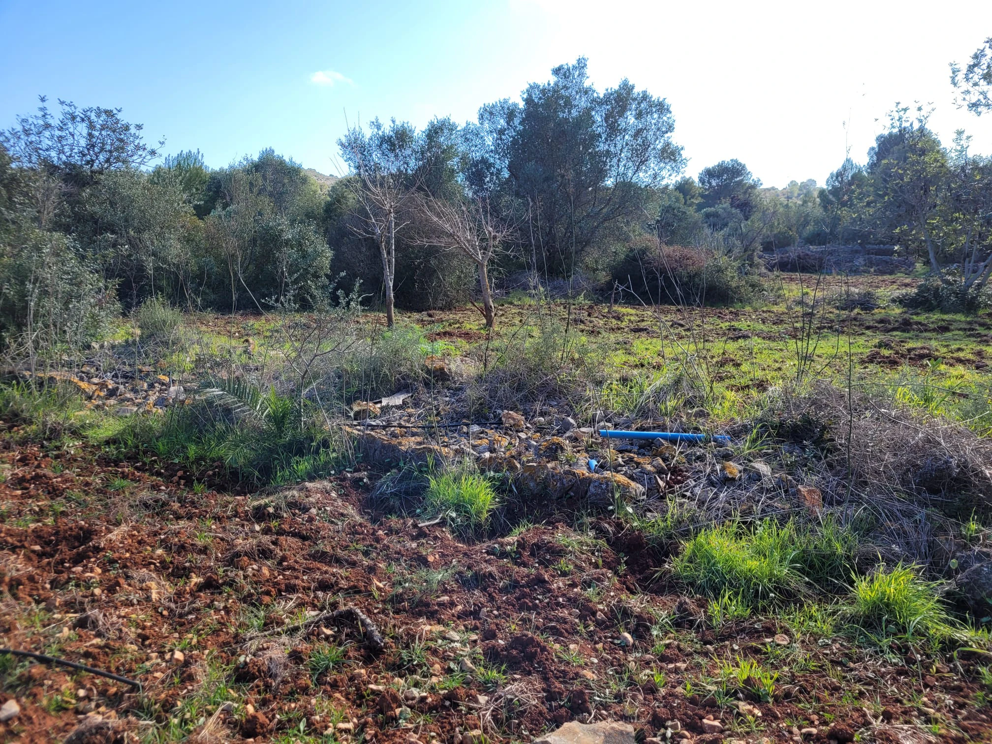 K-BR22531 - Se vende Parcela soleada en Denia