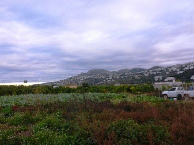PL04 - Parcelas / Terrenos en venta en Pego