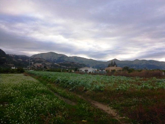 PL04 - Parcelas / Terrenos en venta en Pego