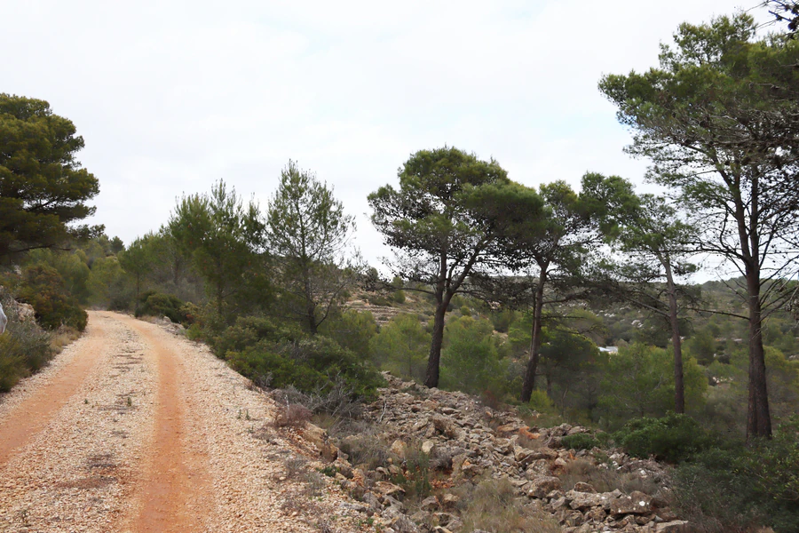 PPT196646 - Parcela en venta en Jalón