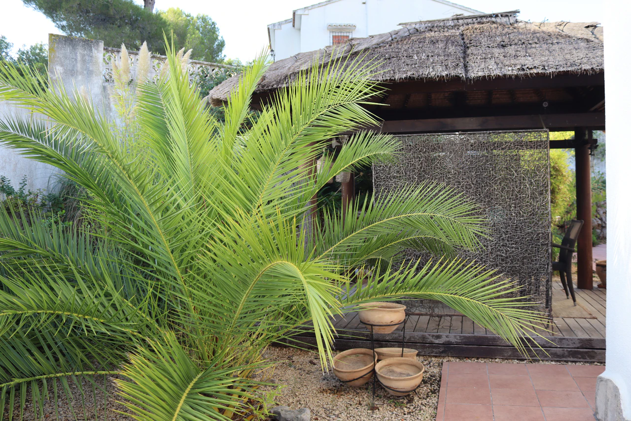 PPT608960 - Chalet/Villa en venta en Murla
