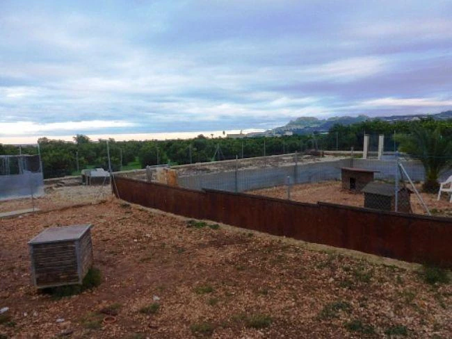 PL04 - Parcelas / Terrenos en venta en Pego