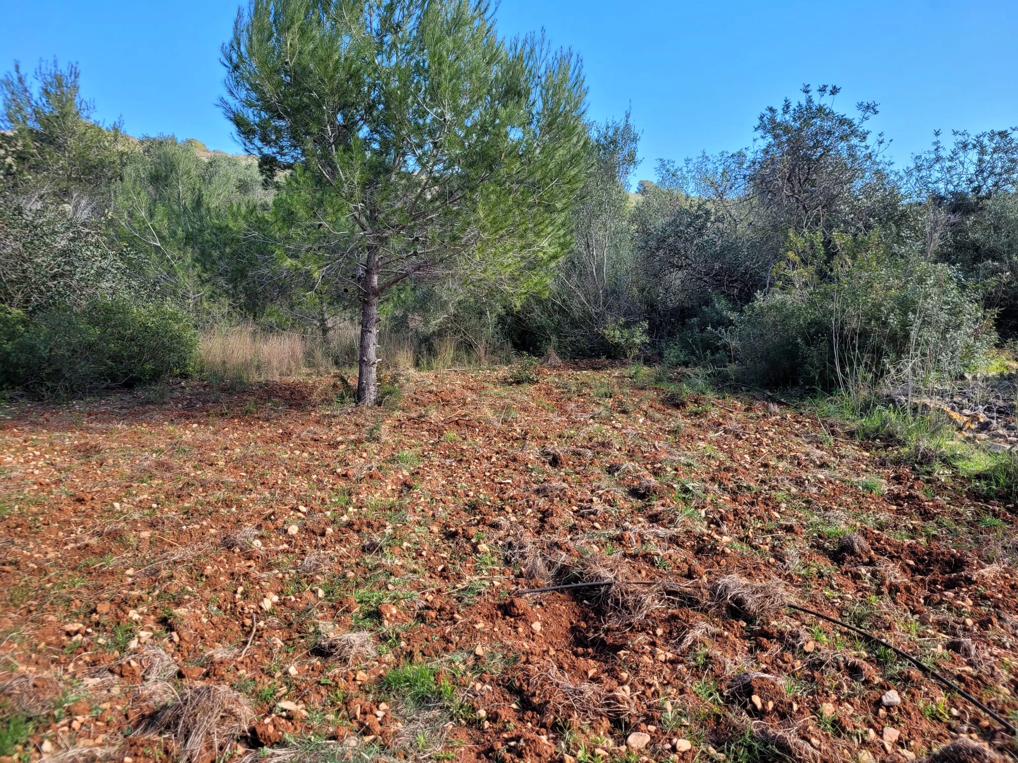 K-BR22531 - Se vende Parcela soleada en Denia