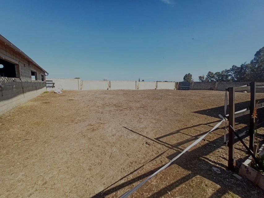 PL18 - Parcela soleada de 14.531 m2 en Ondara