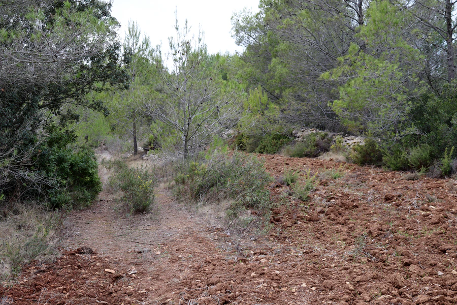 PPT196646 - Parcela en venta en Jalón