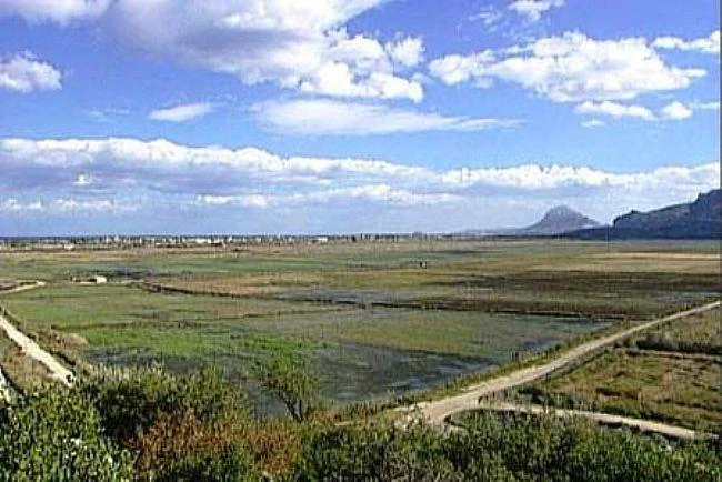 PL04 - Parcelas / Terrenos en venta en Pego