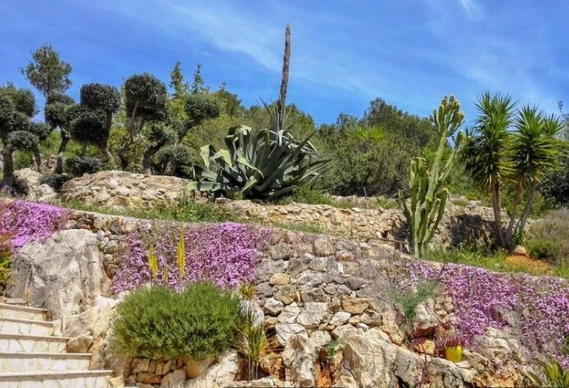 VP07 - Finca Rustica en venta con parcela amplia