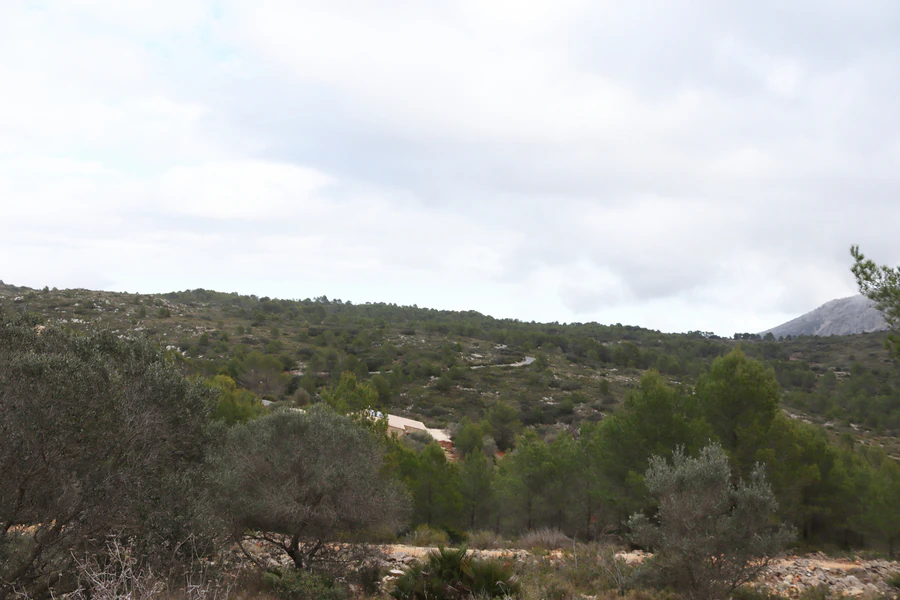 PPT196646 - Parcela en venta en Jalón