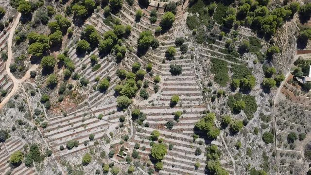 Plot for sale - Benissa
