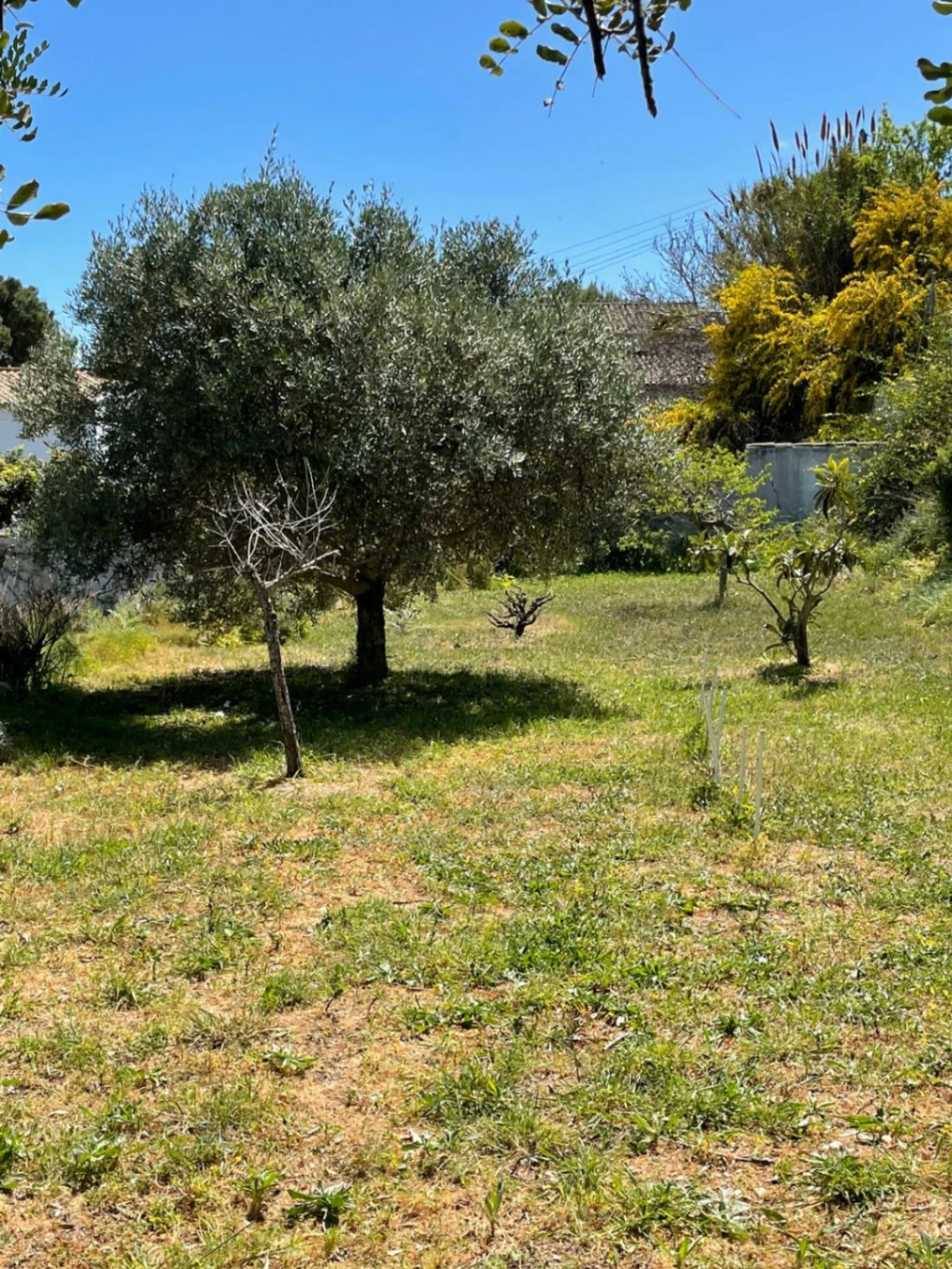 VILLA À VENDER EN BENISSA