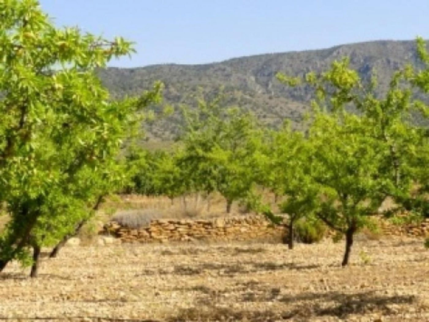 Salg. Villa i Pinoso