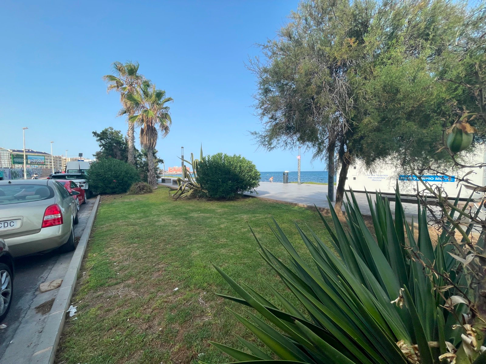 Commercial for sale in Torrevieia