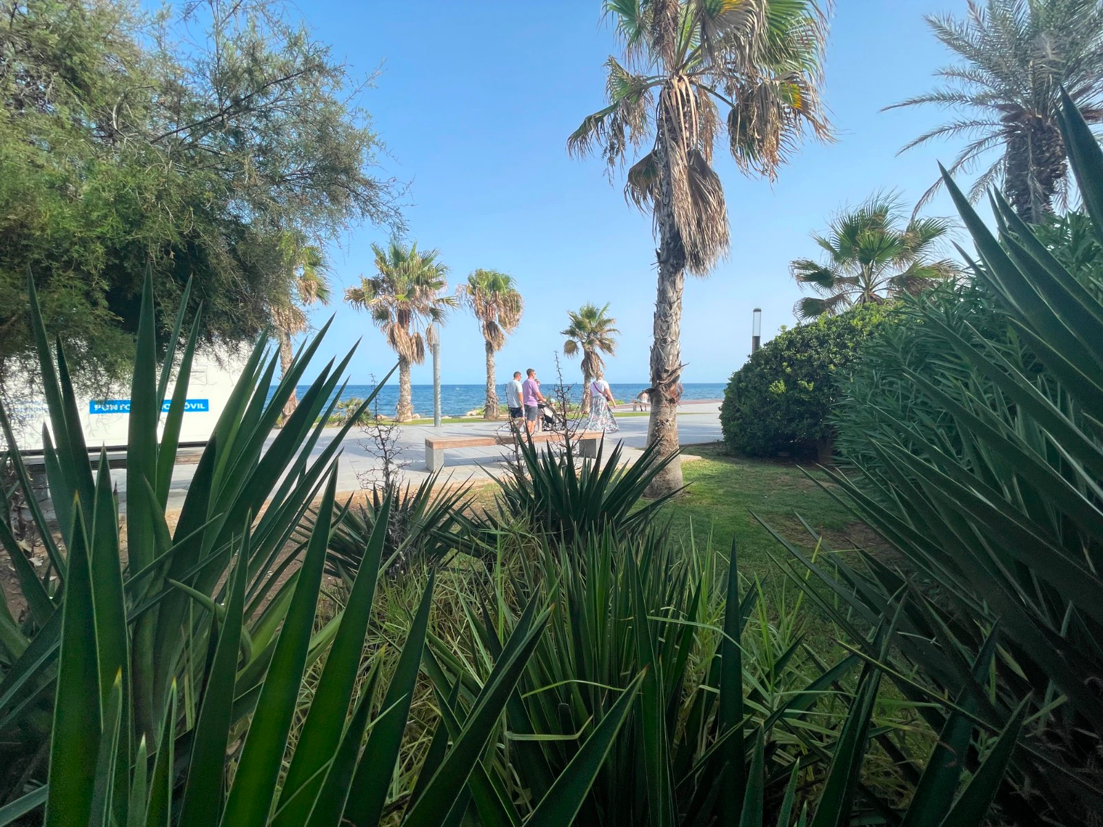 Commercial for sale in Torrevieia