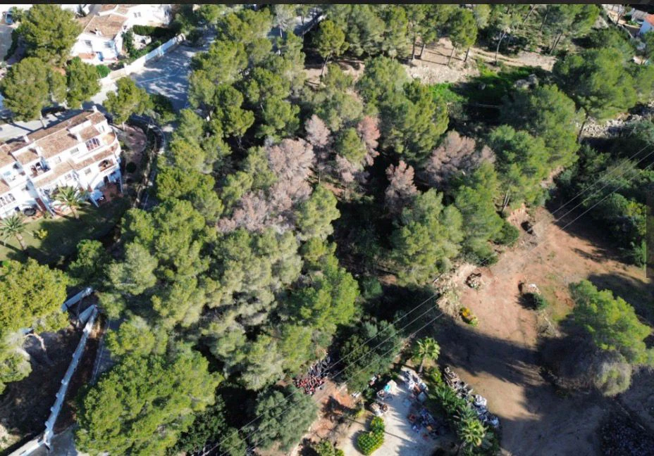 URBAN PLOT IN MORAIRA
