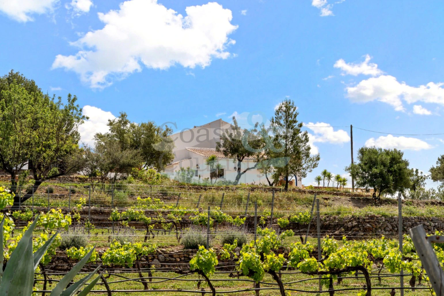 Stunning villa for sale in Murla