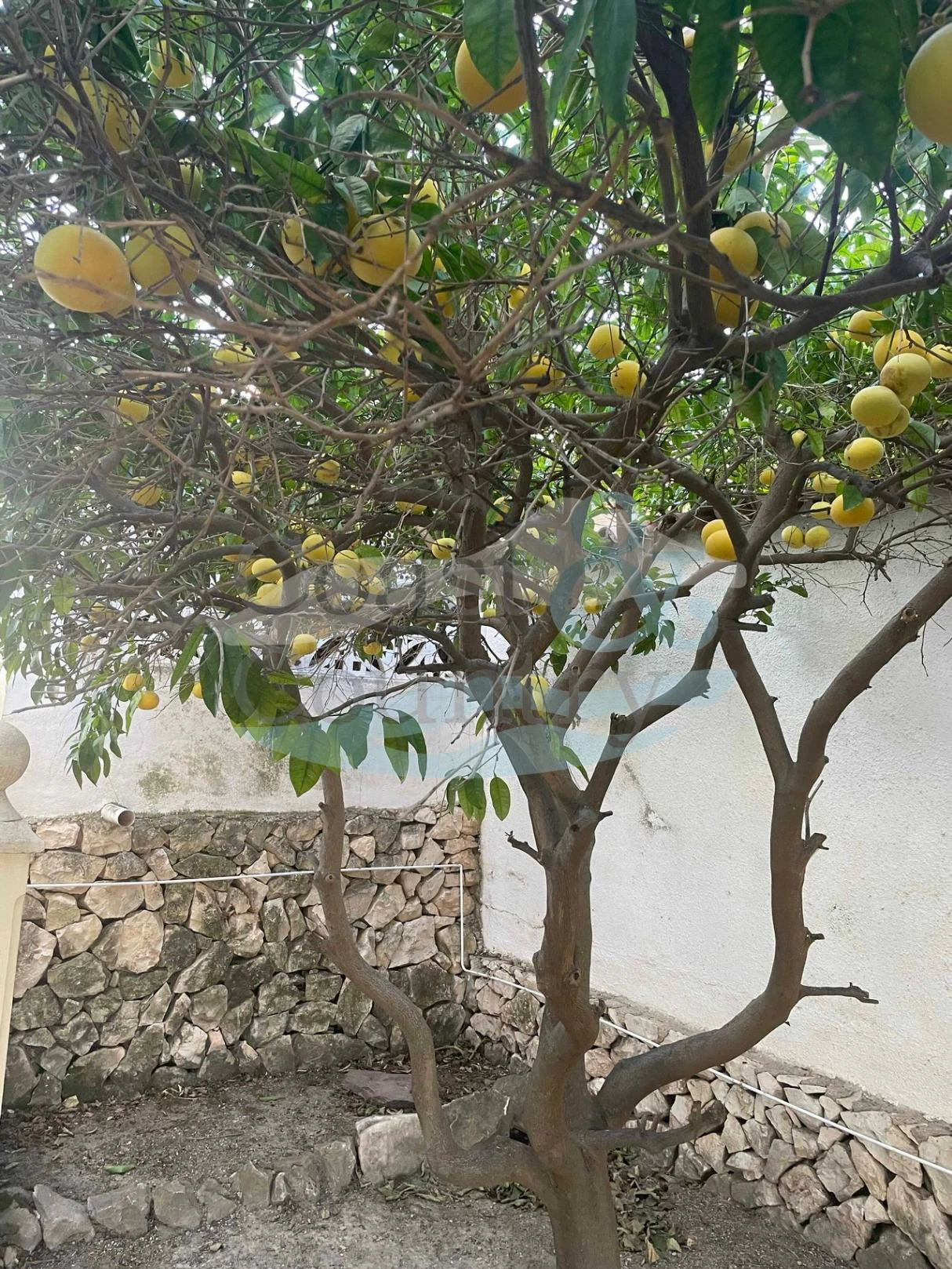 Vakker eiendom i Benissa