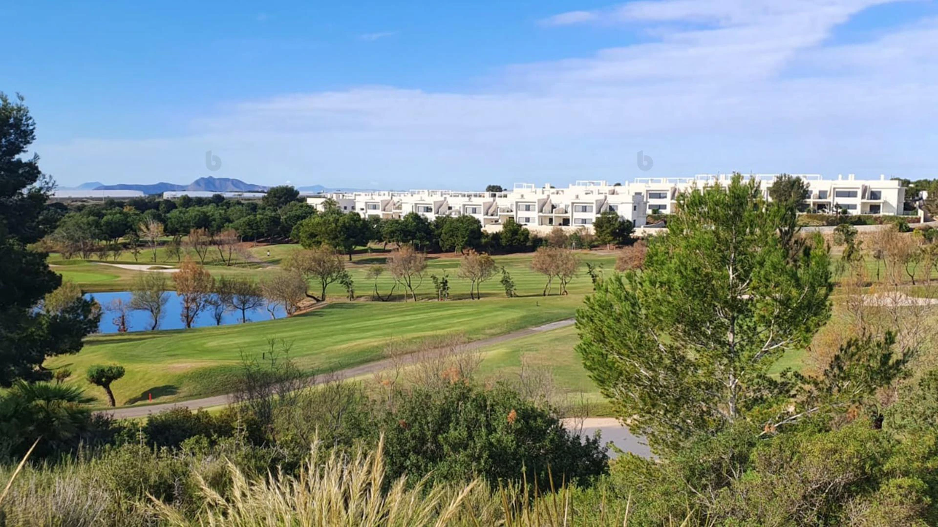For Sale. Villa in Pilar de la Horadada